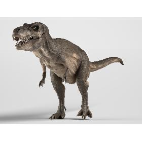 Trex - Realistic